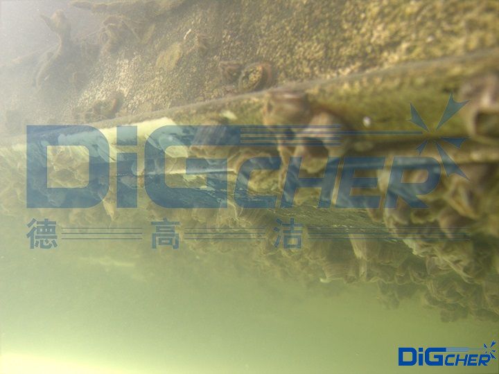 �����︽��