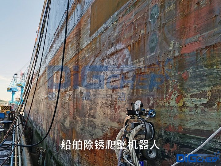 �������P���ڙC(j��)����