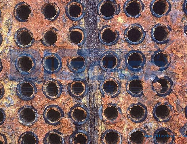 �Q�������g