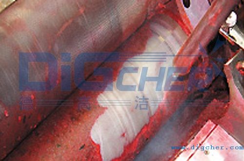 �¸ߝ�DPT Pro�ɱ���ϴ�C��ӡˢ���I(y��)�ϵđ�(y��ng)��